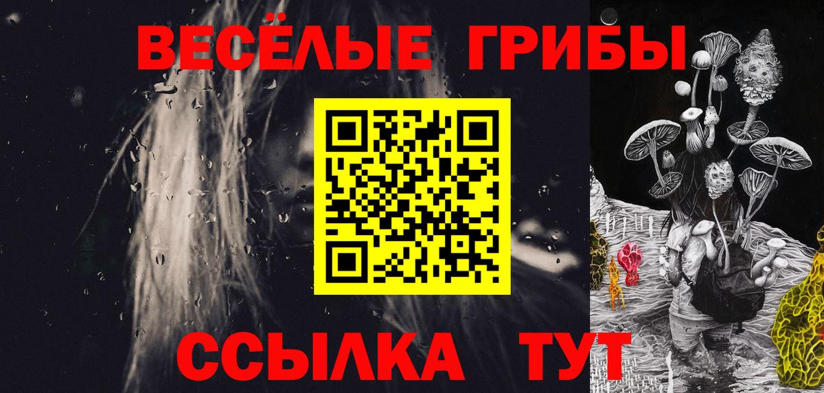 Мценск  Псилоцибиновые грибы Psilocybine cubensis  Вход с VPN 