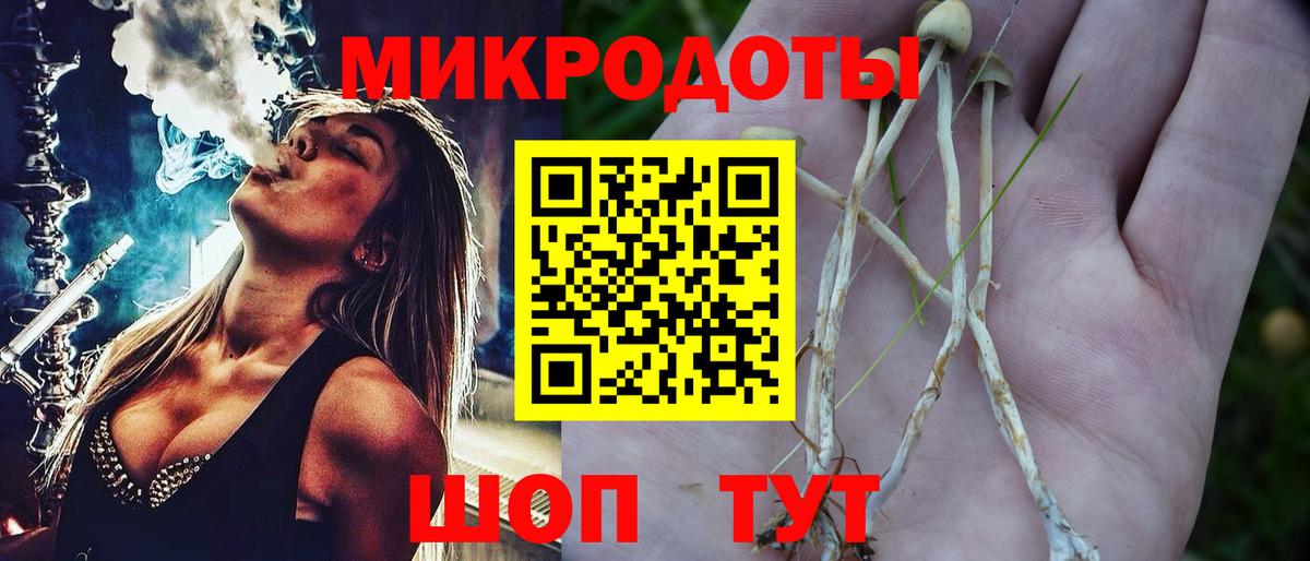 Галлюциногенные грибы Psilocybine cubensis Мценск